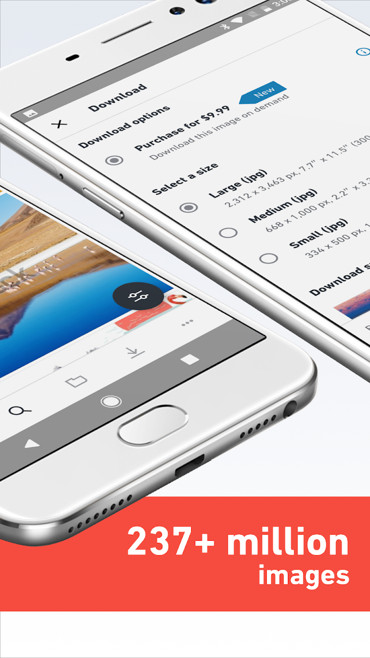 Shutterstock - Image & Video screenshot