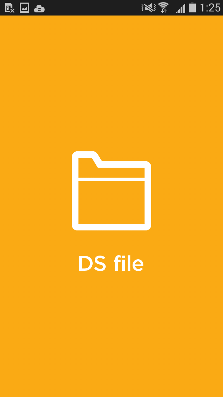 DS file screenshot