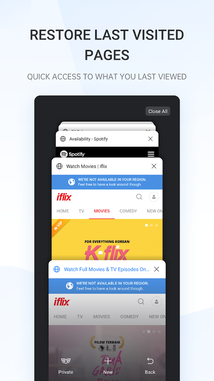 Internet Browser screenshot