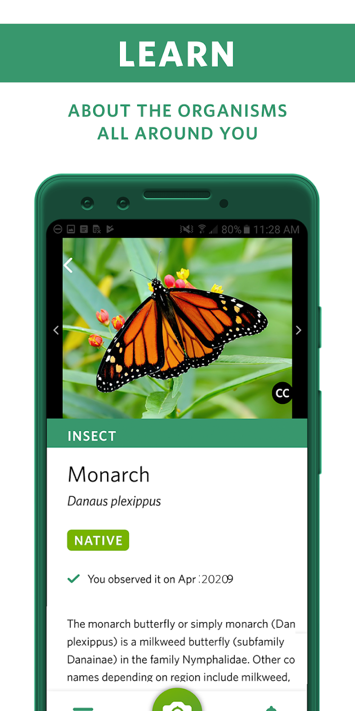 Seek by iNaturalist screenshot