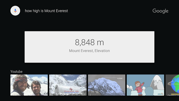 Google app for Android TV screenshot