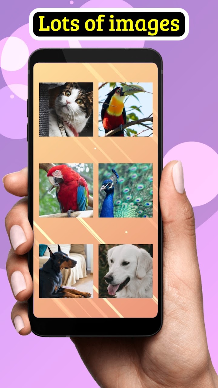 Classic Slide & Swipe Puzzle screenshot