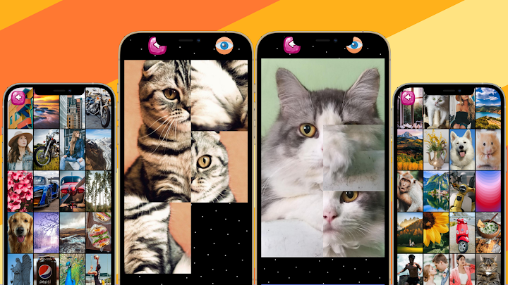 Classic Slide & Swipe Puzzle screenshot